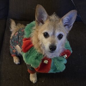 Summer LIVE SHOW NOTIFICATION, Please like This to be notified when I go live.